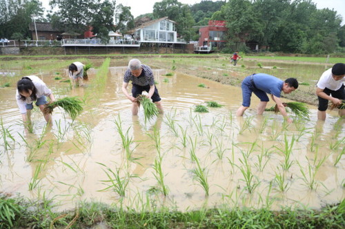 BOYU.COM积极推动大中小学“五育并举”一体化