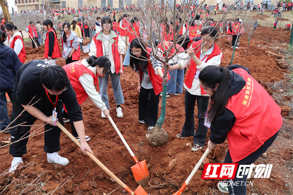 微信图片_20250312101921.jpg 微信图片_20250312101921.jpg