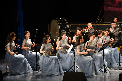 DSC_1251x DSC_1251x