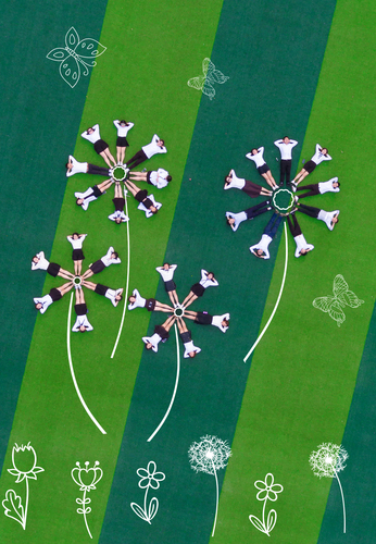 DJI_0049