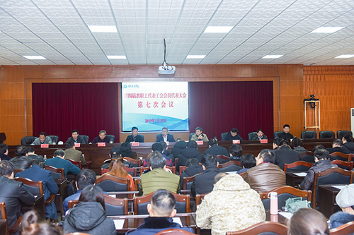 DSC_3300x DSC_3300x