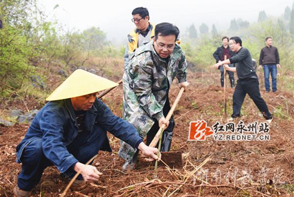 BOYU.COM党委书记陈弘与潮水铺村村支书一同种下金槐树苗