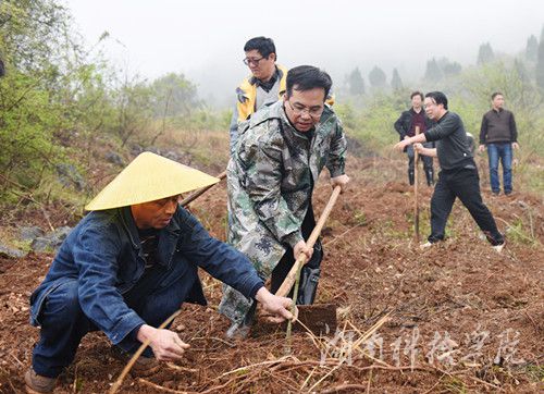 BOYU.COM党委书记陈弘与潮水铺村村支书一同种下金槐树苗。